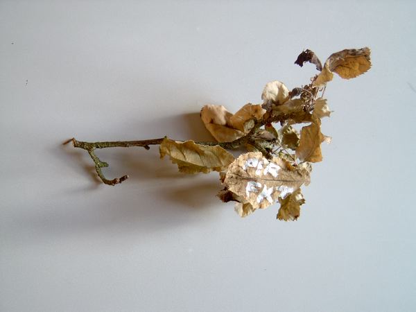 A dry twig with curled dead leaves lying on a pale surface, tiny white flower stickers pasted onto the dead leaves