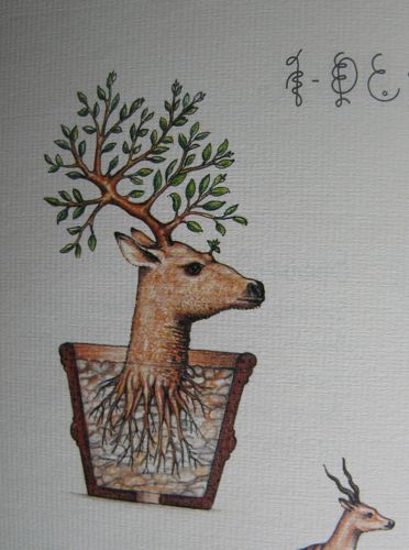Codex Seraphinianus illustration: a potted deer head whose antlers are a leafing tree, roots filling the transparent pot