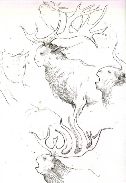Ink sketchbook page of antlered stag studies — one full body with heavy fur, two roaring heads, loose antler diagrams