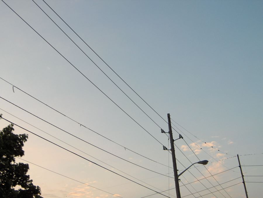Dozens of telephone lines crossing a pale evening sky, small birds strung along the farthest wire by a streetlamp