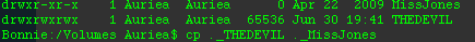 Green-on-black terminal listing: files MissJones and THEDEVIL, then the command 'cp ._THEDEVIL ._MissJones'