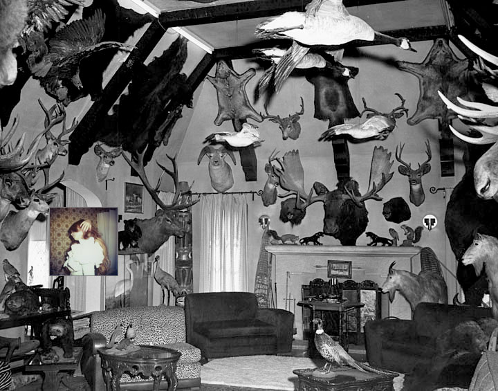 Black-and-white hunting-lodge room crowded with taxidermy — moose and deer heads, geese, a pheasant — with a small color photo of an embracing couple collaged on the wall