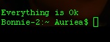 Tiny green-on-black terminal: 'Everything is Ok — Bonnie-2:~ Auriea$'