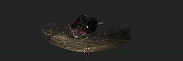 Dark 3d bird hunkered in a shallow grass nest, one white eye catching light