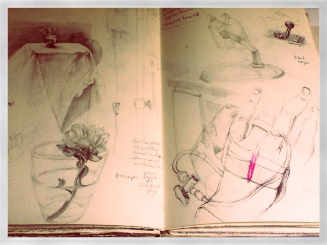 Sketchbook spread drawn from a hospital bed: flowers in a water glass by the curtain, the IV stand, and the cannulated hand with one line touched in pink