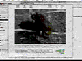 Tiny animated screen-capture: an image-editing window with a small dark photograph inside, too small to read