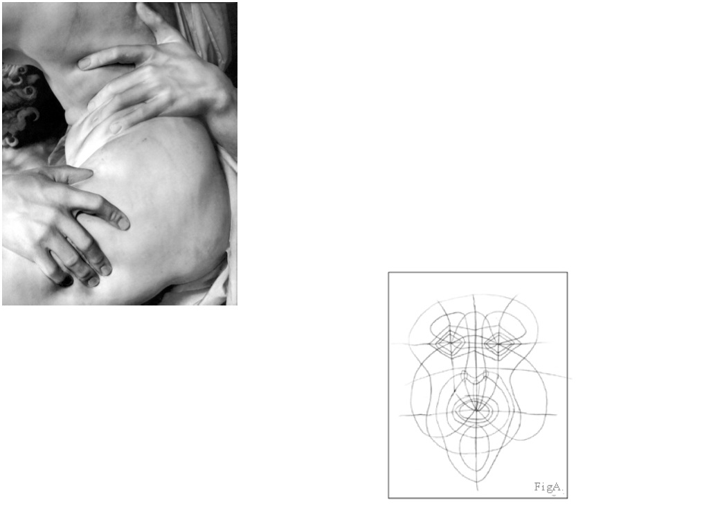 Lecture slide: detail of Bernini's marble hand pressing into Proserpina's flesh, paired with a proportional construction of a face labeled Fig A Lecture slide: detail of Bernini's marble hand pressing into Proserpina's flesh, paired with a proportional construction of a face labeled Fig A