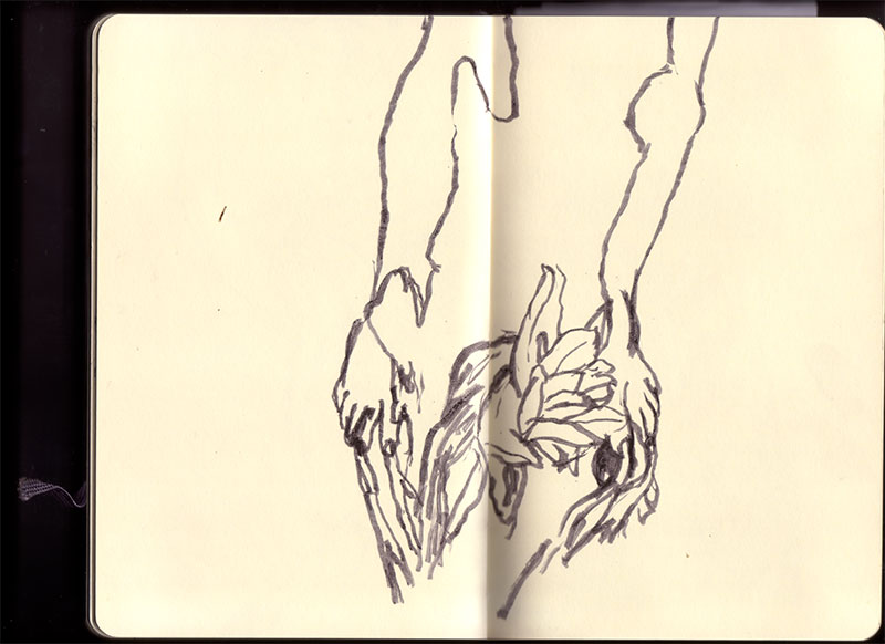 Roma sketchbook: study of Daphne's hands sprouting laurel leaves at her fingertips, drawn in ink across the spread Roma sketchbook: study of Daphne's hands sprouting laurel leaves at her fingertips, drawn in ink across the spread