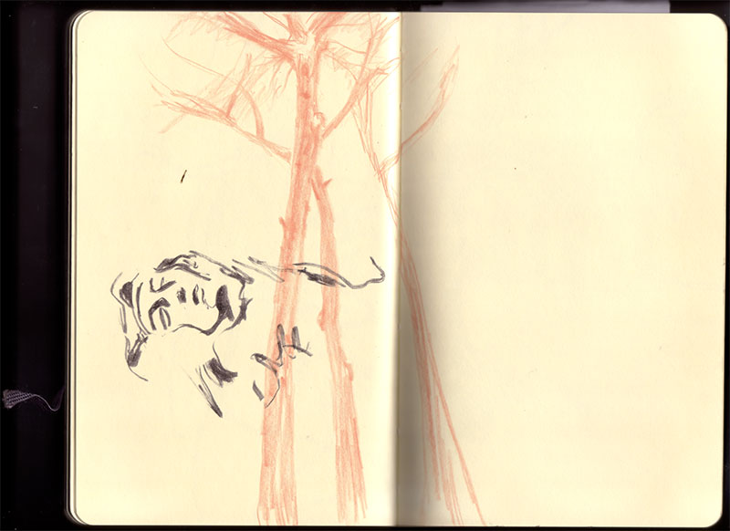 Roma sketchbook: an umbrella pine in terracotta pencil with a dark inked sculpture head resting at its base Roma sketchbook: an umbrella pine in terracotta pencil with a dark inked sculpture head resting at its base