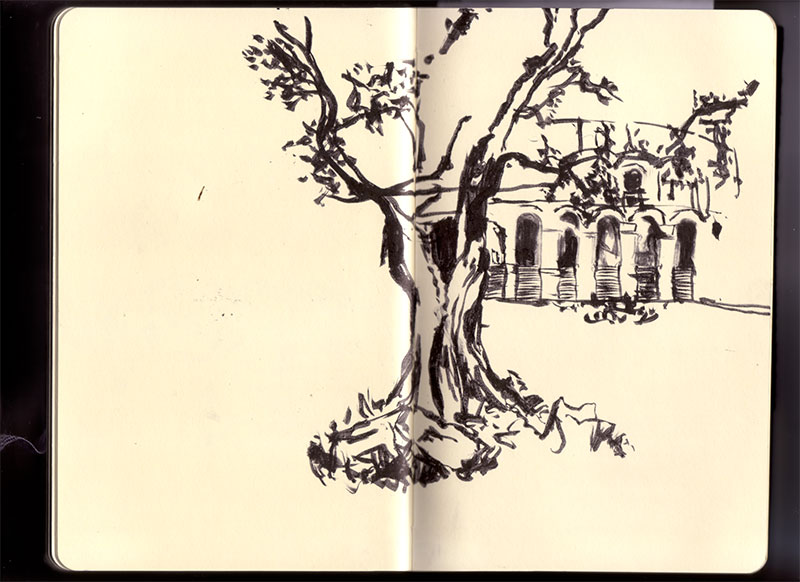 Roma sketchbook: a gnarled old tree brushed in ink, its roots gripping the ground before an arched arcade Roma sketchbook: a gnarled old tree brushed in ink, its roots gripping the ground before an arched arcade