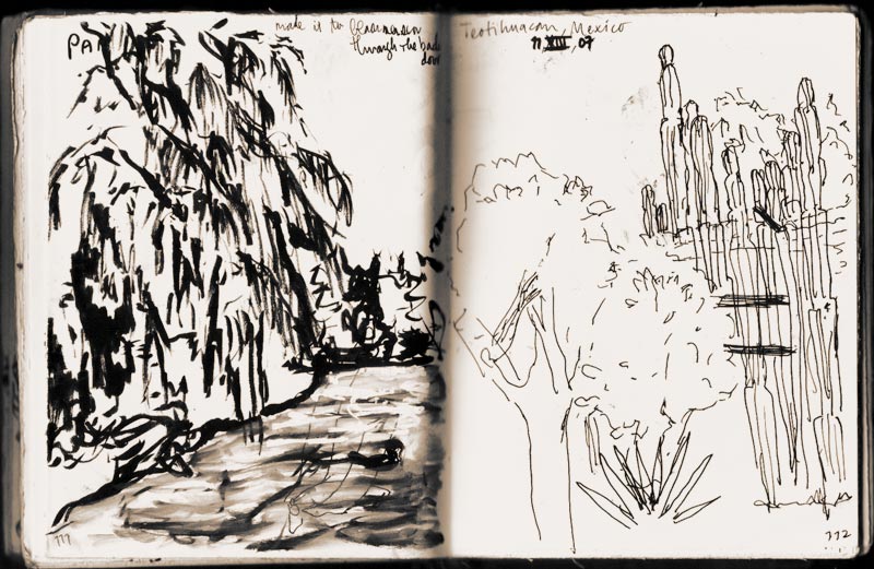 Sketchbook 33 spread, Teotihuacan Mexico 2007: a shaggy pepper tree in black ink over a shaded path, and at right cactus paddles drawn in wandering line