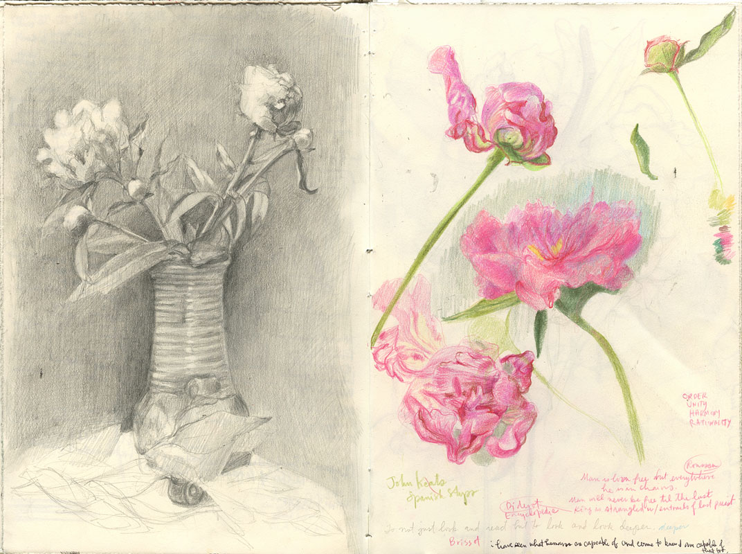 Sketchbook 43 spread: peonies in a ribbed vase in silvery graphite at left; loose pink colored-pencil peonies at right with notes on Keats, Rousseau, and looking deeper Sketchbook 43 spread: peonies in a ribbed vase in silvery graphite at left; loose pink colored-pencil peonies at right with notes on Keats, Rousseau, and looking deeper
