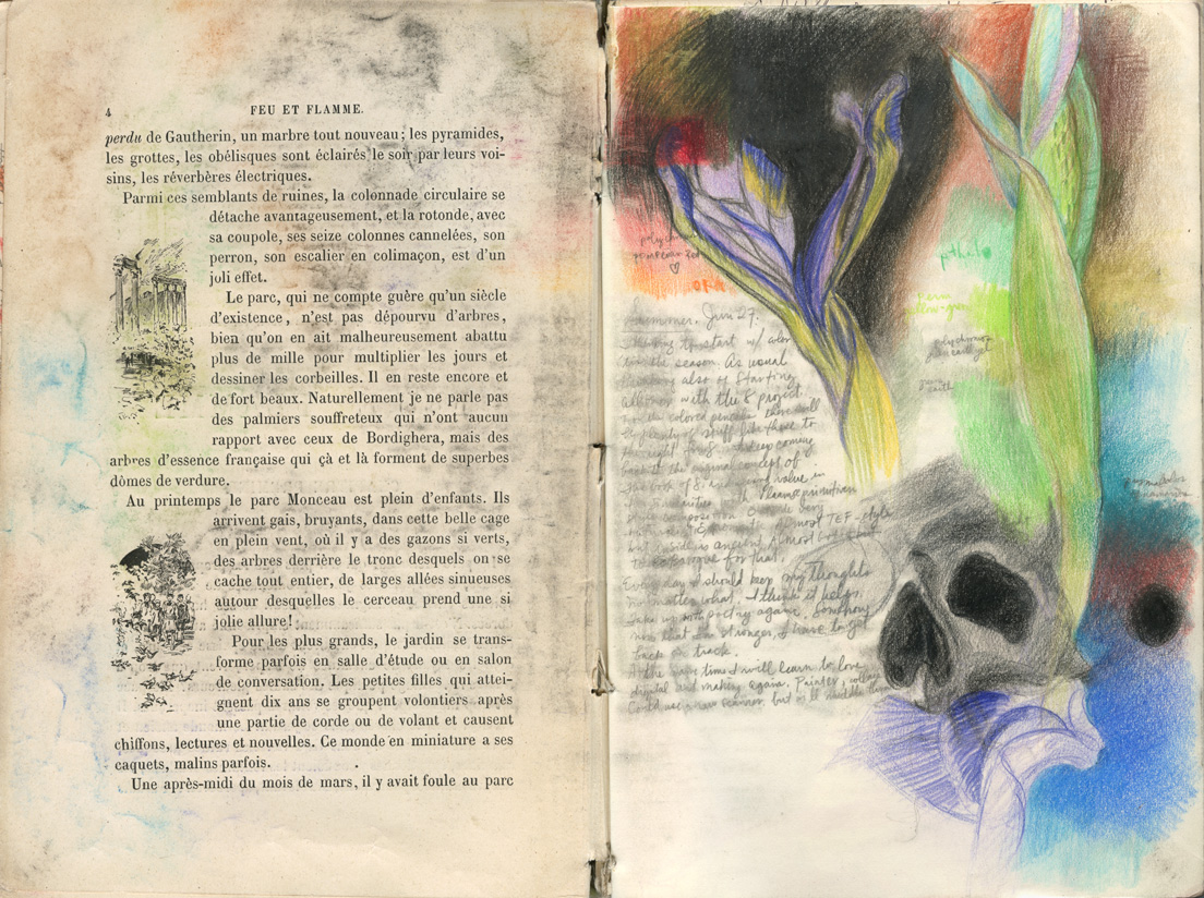 Sketchbook 44, 'Summer, Jun 27': iris and leaves in vivid colored pencil growing past a shaded skull, journal notes on color and the Book of 8 project, over a printed Feu et Flamme page describing Parc Monceau Sketchbook 44, 'Summer, Jun 27': iris and leaves in vivid colored pencil growing past a shaded skull, journal notes on color and the Book of 8 project, over a printed Feu et Flamme page describing Parc Monceau