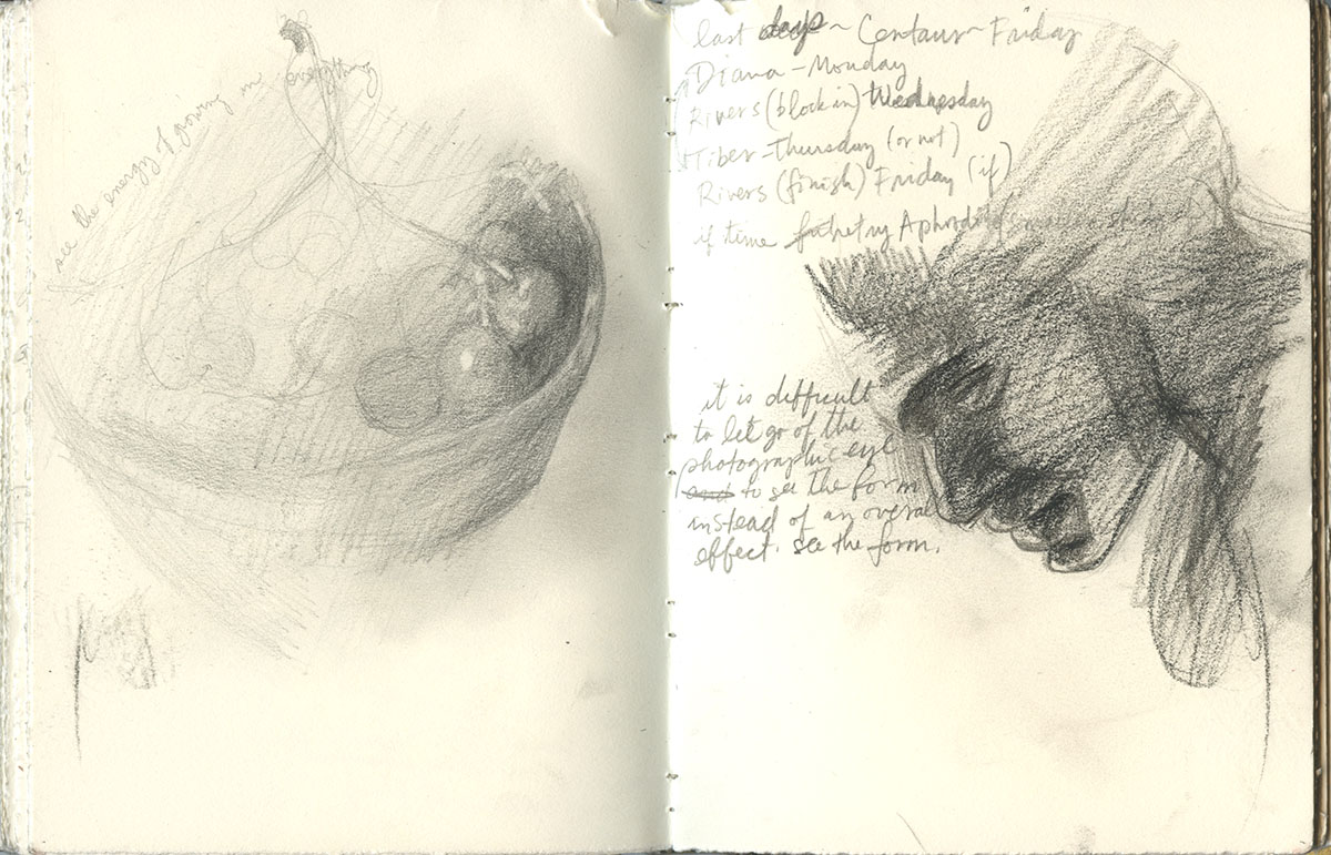 Sketchbook 48 spread in pencil: a bowl of fruit rendered in soft graphite, a week's copying schedule (Centaur, Diana, Rivers, Tiber), and a dark bowed head — 'let go of the photographic eye, see the form'