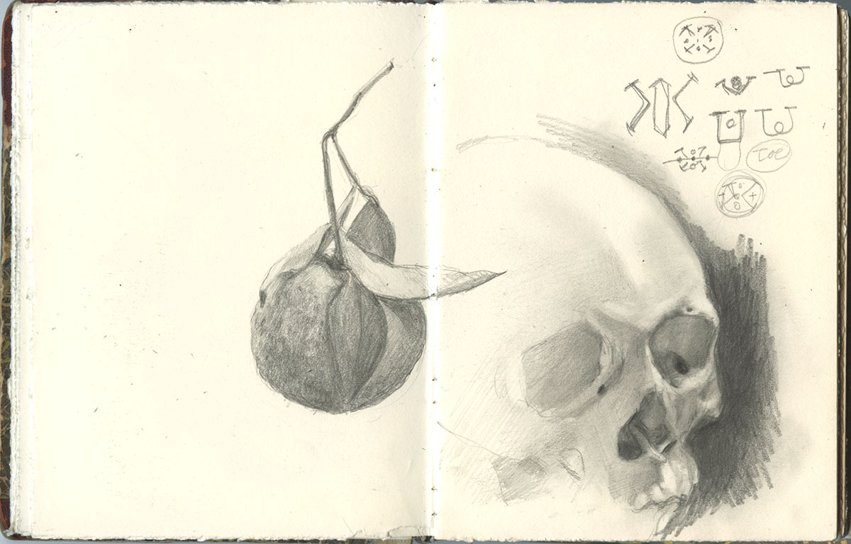 Sketchbook 48 spread in graphite: a walnut hanging from its twig with one leaf, and a softly modeled human skull turned three-quarter into darkness, with small sigil-like doodles above