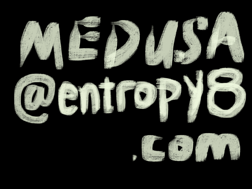 White brushed hand-lettering on black reading MEDUSA@entropy8.com, painted like chalk strokes