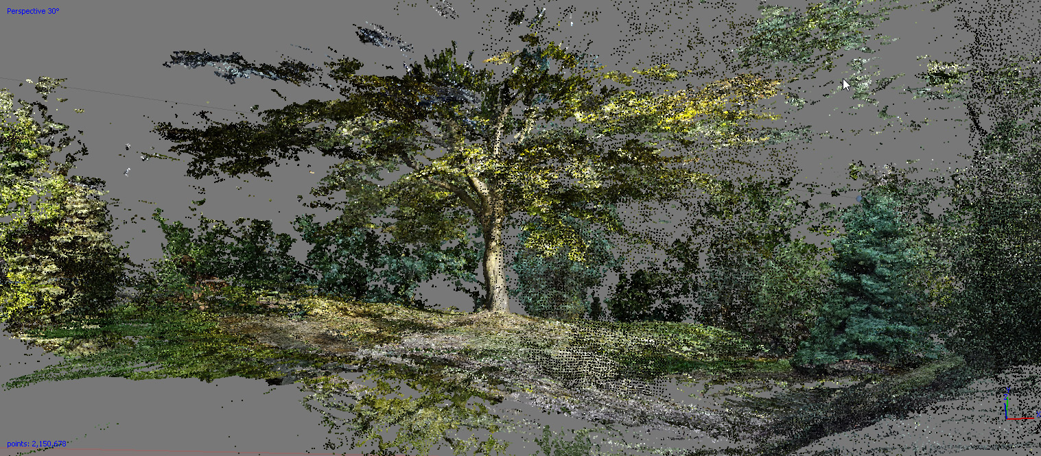 Photogrammetry point cloud of a large spreading tree on a lawn, rendered as 2.1 million colored dots in a 3D viewport against grey emptiness