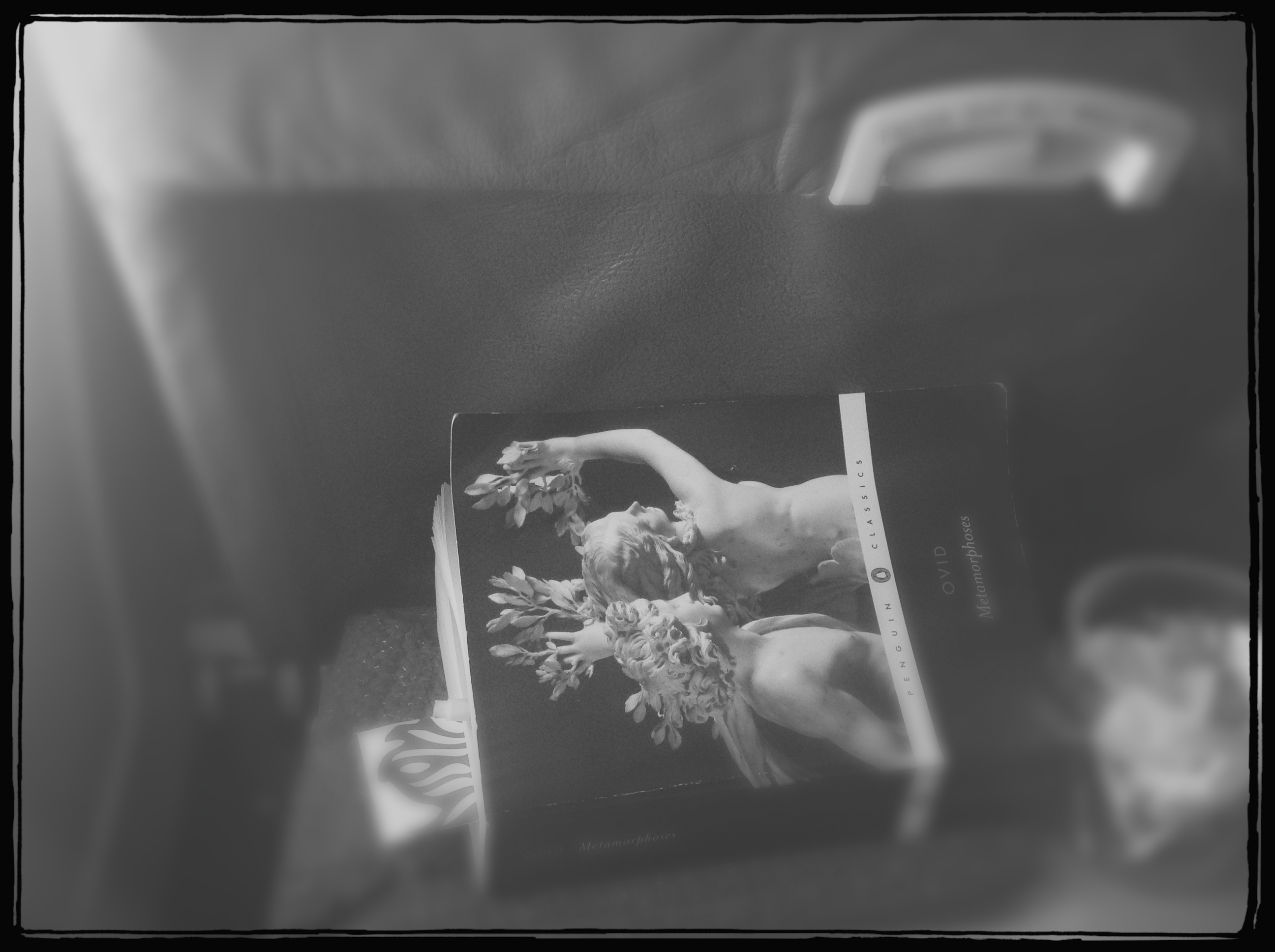 Blurred black-and-white photo of the Penguin Classics Ovid Metamorphoses, its cover Bernini's Apollo and Daphne, her fingers bursting into laurel