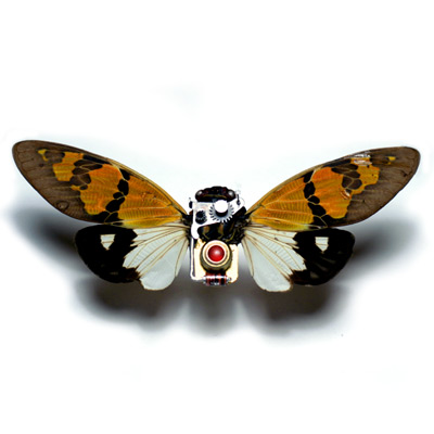 Mike Libby's mechanical insect: a real cicada with orange-and-black wings spread, its body replaced by tiny watch gears and a red jewel