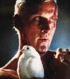 Rutger Hauer as Roy Batty at the end of Blade Runner, platinum-haired and wide-eyed, cradling a white dove against his chest