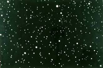 Vija Celmins night sky: white stars of varying sizes scattered dense across a black field