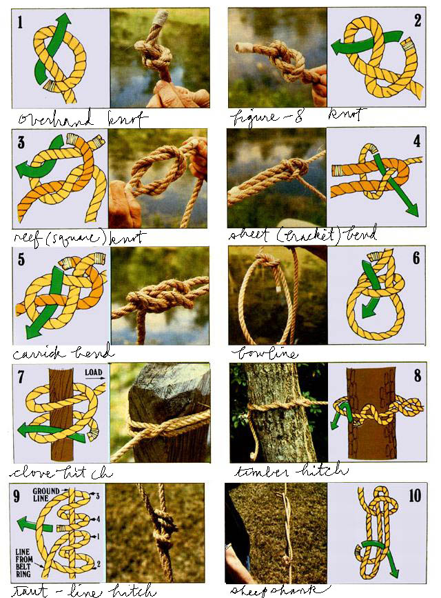 Illustrated chart of ten knots with handwritten labels: overhand, figure-8, reef, sheet bend, carrick bend, bowline, clove hitch, timber hitch, taut-line hitch, sheepshank