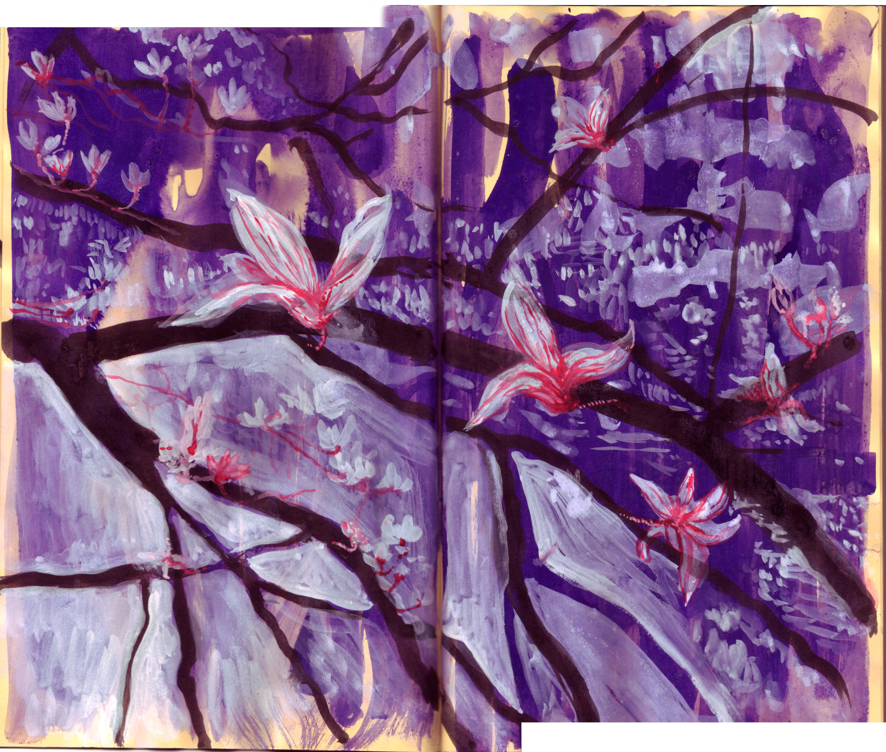 Sketchbook spread in gouache: black magnolia branches heavy with white pink-veined blossoms against fields of violet and lavender