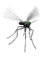 Tiny sprite of a mosquito with green body and spread translucent wings