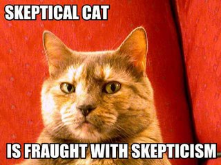 Skeptical Cat meme: an orange cat glowering over the caption Skeptical Cat is fraught with skepticism